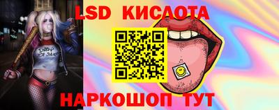 гидропоника Краснознаменск