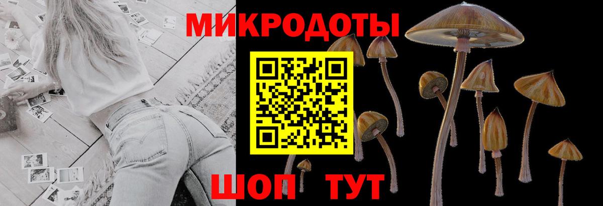 Красногорск  Галлюциногенные грибы Magic Shrooms  Псилоцибиновые грибы мицелий  Вход с VPN 
